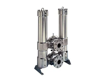 Duplex fluid filter