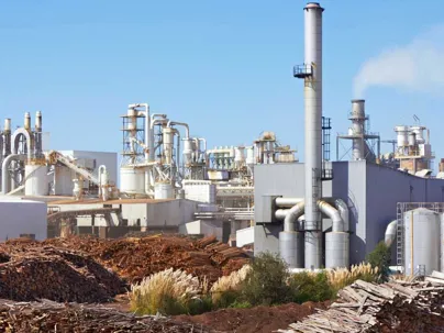 Pulp And Paper Plant 800X600